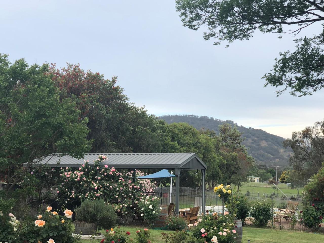 Valley View Motel Murrurundi Eksteriør billede